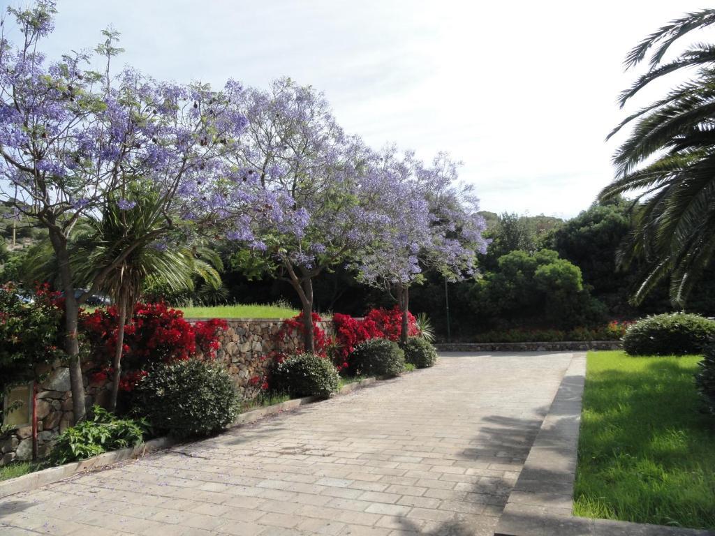 Eco Village Baia Delle Ginestre Teulada Room photo